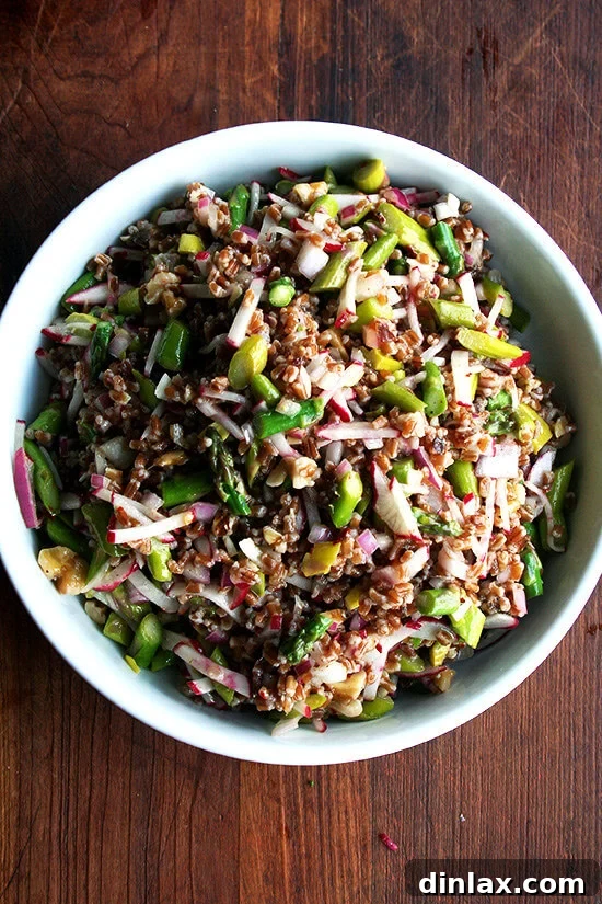 Delicious Spring Wheat Berry Salad A beautifully composed bowl of spring wheat berry salad, showcasing its vibrant ingredients and inviting textures.