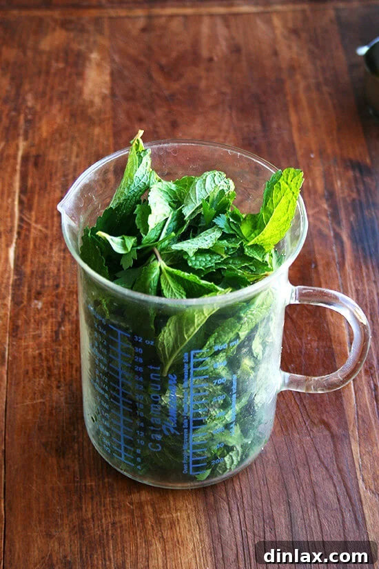 Close-up of fresh mint and parsley leaves, highlighting their vibrant green color and readiness for processing.