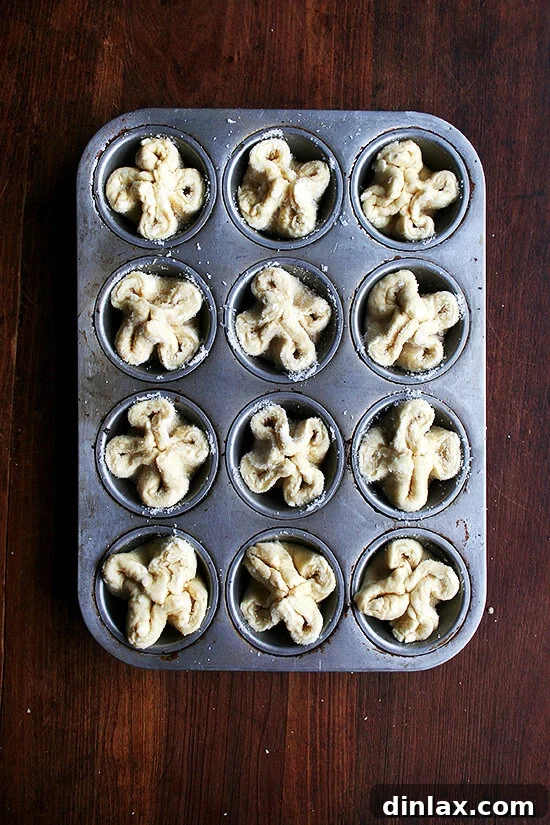 ready for the fridge