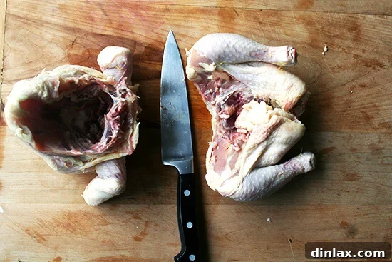 A raw chicken expertly cut in half lengthwise along the backbone, showcasing the initial step of quartering for even cooking.