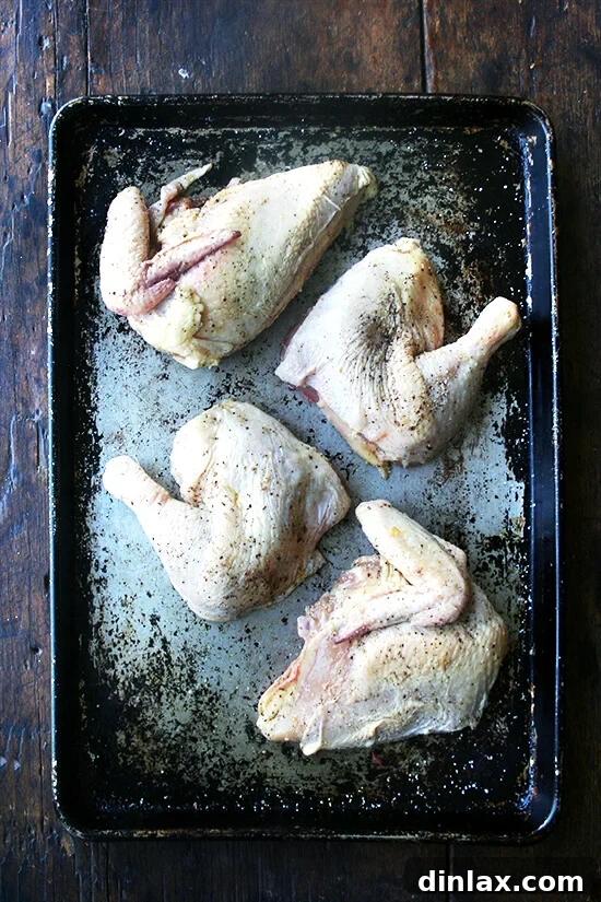 Quartered chicken pieces seasoned with salt, pepper, and olive oil, neatly arranged skin-side up on a rimmed sheet pan, poised to enter a hot oven for roasting.