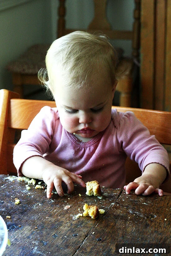 A charming wren supervises the kitchen