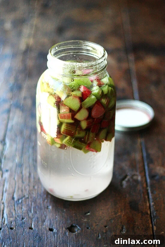 Rhubarb Schnapps Ingredients: Simple and Potent