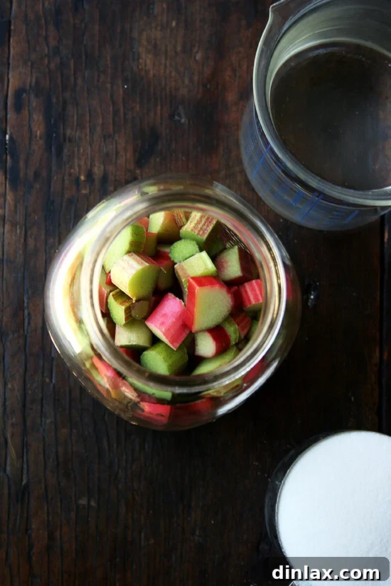 Key Ingredients for Rhubarb Schnapps