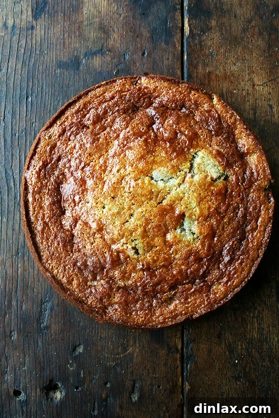 Delicious Rhubarb Cornmeal Cake, a seasonal favorite