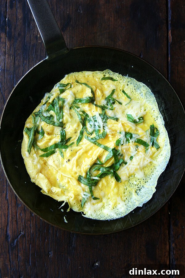 Whip Up a Fluffy Two-Egg Omelet 6 basilcheddar