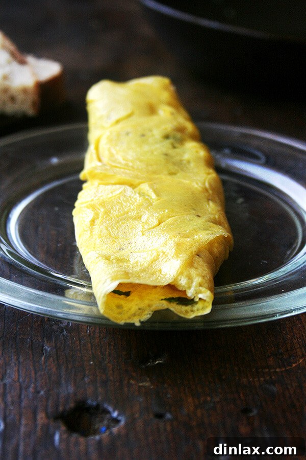 Whip Up a Fluffy Two-Egg Omelet 7 omelet1