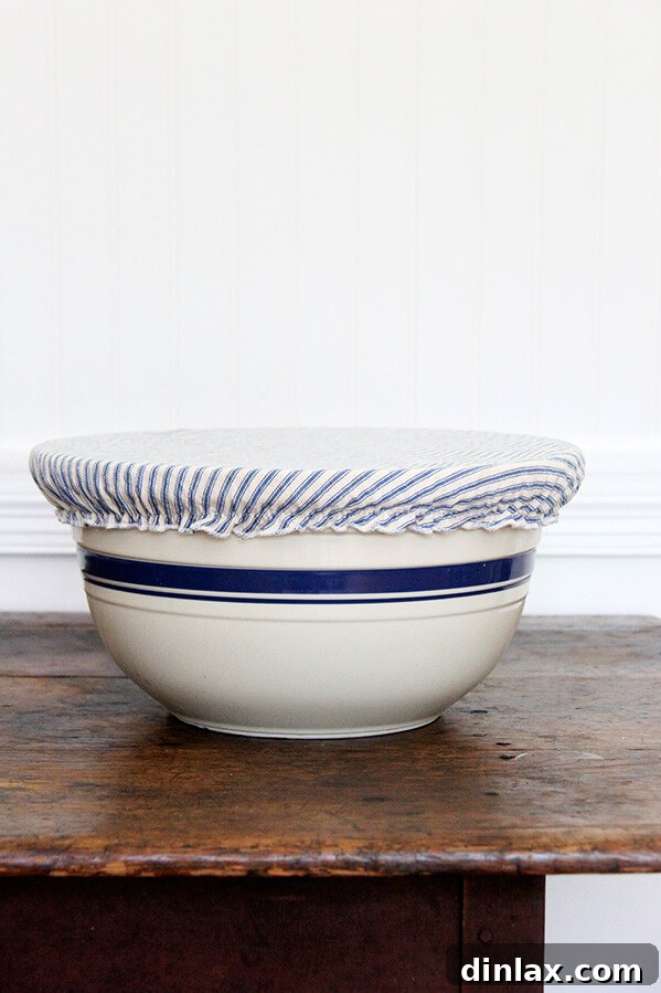 Whip Up a Fluffy Two-Egg Omelet 10 bowl covers