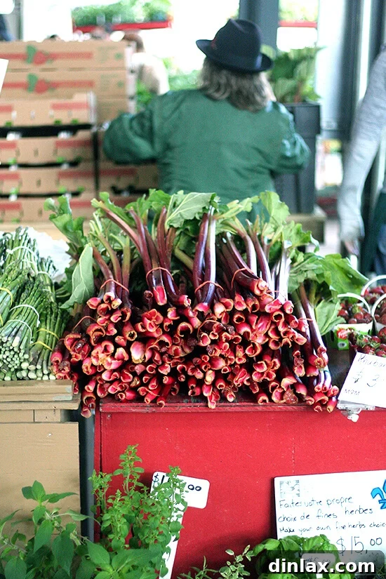 Fresh rhubarb stalks displayed at Jean Talon Market.