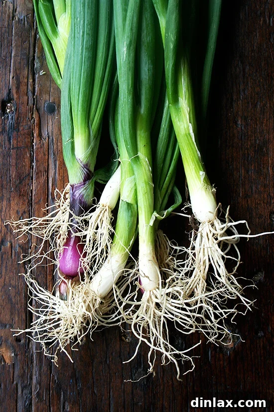 Freshly chopped scallions, adding a mild onion flavor and vibrant green color to the salad.