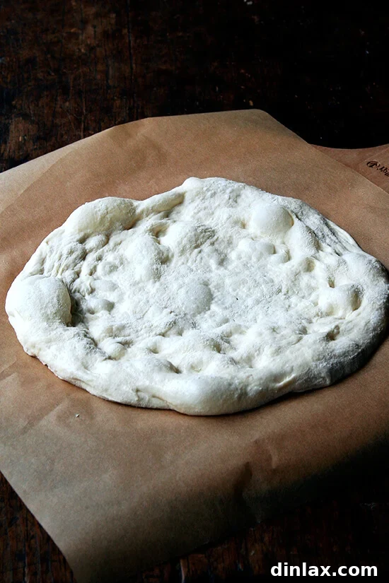 Burrata Basil Summer Squash Pizza 4 A perfectly stretched round of Jim Lahey pizza dough, adorned with delicate air bubbles, resting on a parchment-lined pizza peel, ready for toppings.