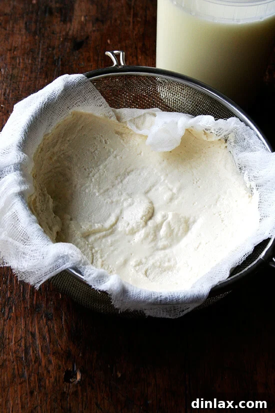 Bright Zucchini Sauté with Mint, Basil and Pine Nuts 8 A bowl of freshly made, creamy homemade ricotta cheese, perfect for pairing with the sautéed zucchini.
