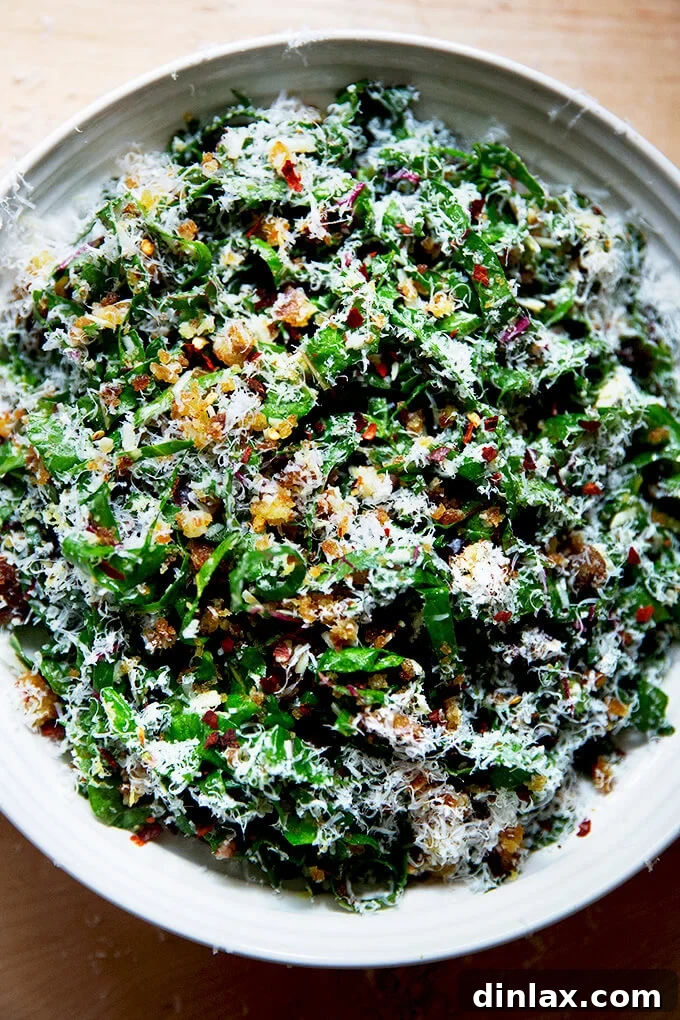 Tangy Swiss Chard Salad with Parmesan and Crunchy Breadcrumbs 11 A final presentation of the Swiss chard salad, beautifully arranged on a plate with visible parmesan shavings and garlicky bread crumbs.