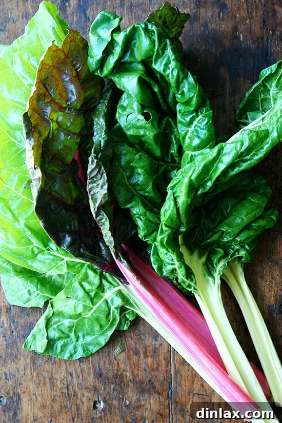 Tangy Swiss Chard Salad with Parmesan and Crunchy Breadcrumbs 3 A fresh, vibrant bunch of Swiss chard, ready for preparation.