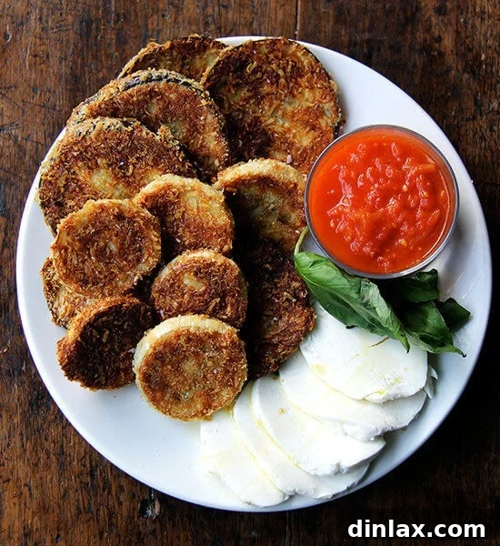 A plate of crispy eggplant rounds.