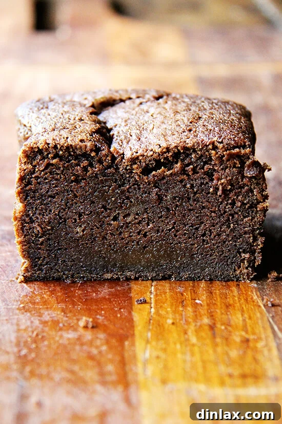 A halved loaf of Nigella Lawson's dense chocolate loaf cake, showcasing its rich, moist interior and delicious texture.