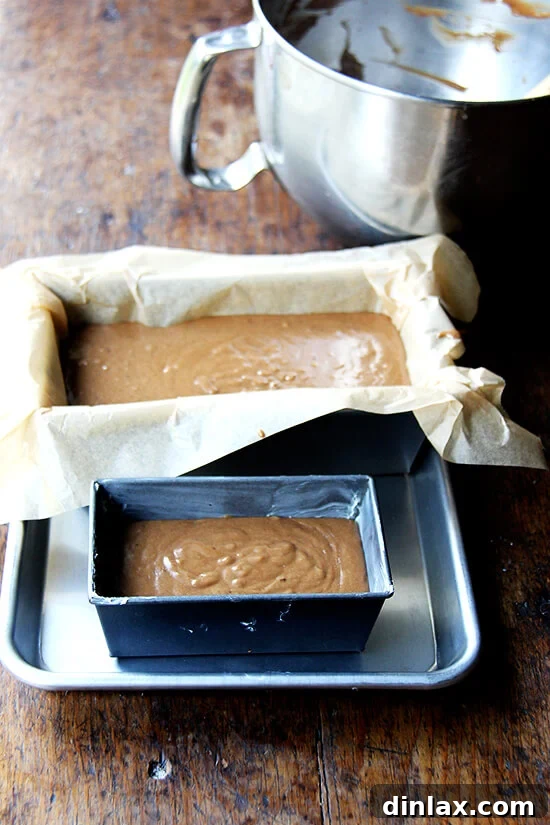 The chocolate loaf cake batter, ready to be baked in a loaf pan.