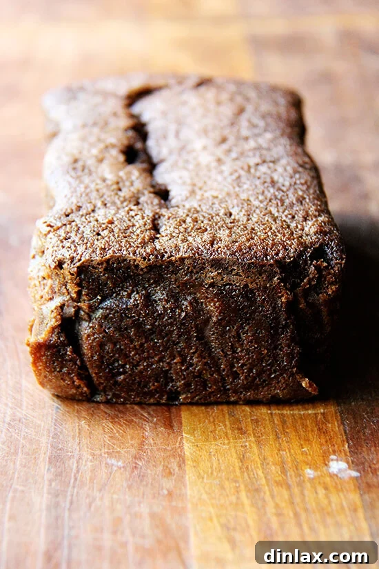 Nigella Lawson's dense chocolate loaf cake with brandy and coffee, freshly baked and golden brown.
