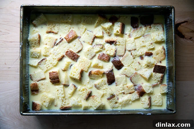 A 9x13-inch pan filled with toasted brioche cubes soaked in a custard.