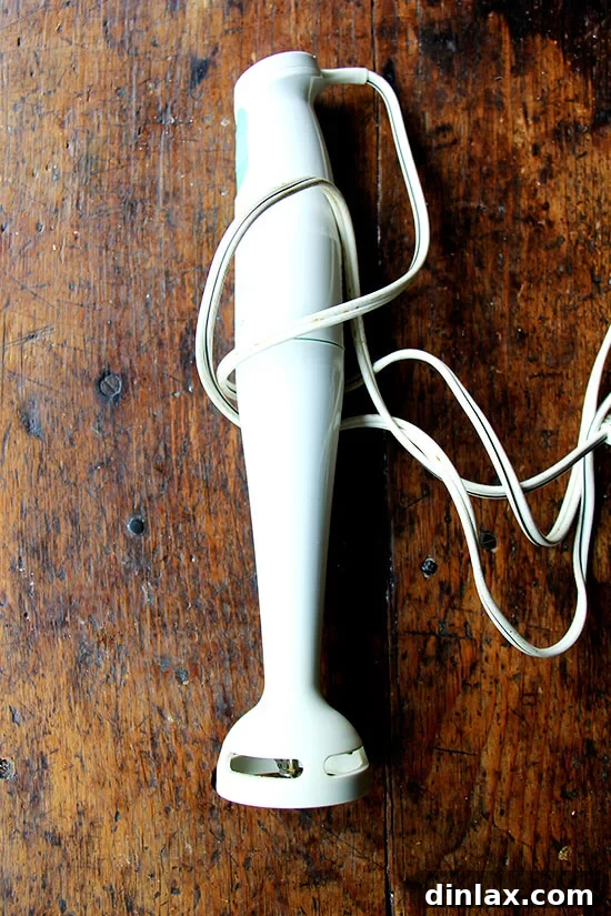 immersion blender