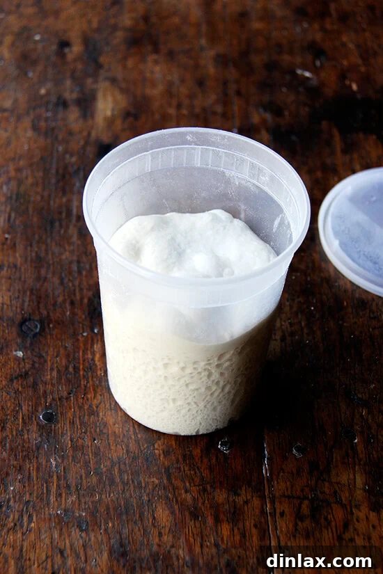 A transparent quart storage container, showcasing a portion of soft, ready-to-use Lahey pizza dough nestled inside.