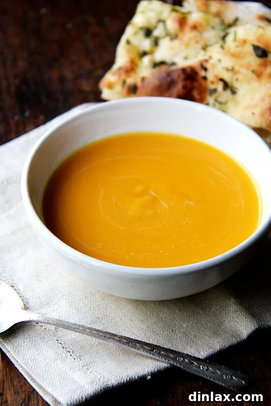 A rustic bowl of creamy butternut squash and cider soup, garnished and served with a spoon, inviting a comforting meal.