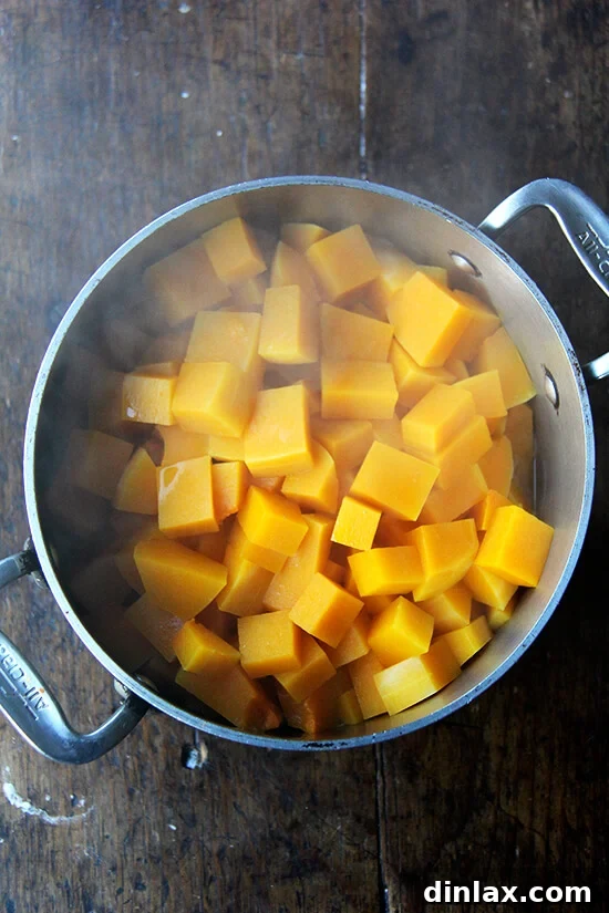 A soup pot with perfectly steamed butternut squash, now fork-tender and ready for puréeing.