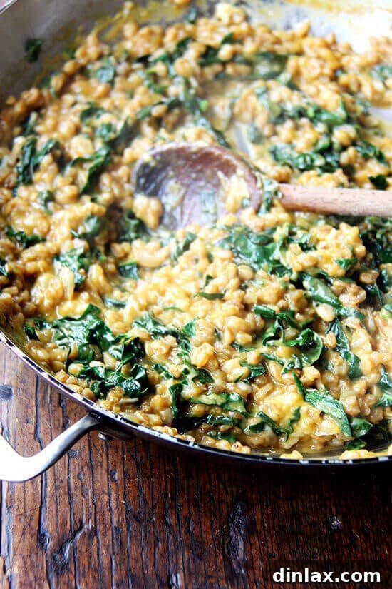 This wholesome farro risotto, enriched with roasted butternut squash purée and fresh kale, offers a delicious and healthy take on a classic comfort food. It’s a delightful meal made with whole grains and plenty of vegetables, loved by everyone for its simplicity and robust flavor. A beautifully plated serving of Farro Risotto with Butternut Squash and Kale, garnished with fresh herbs, showcasing its creamy texture and rich autumnal colors.