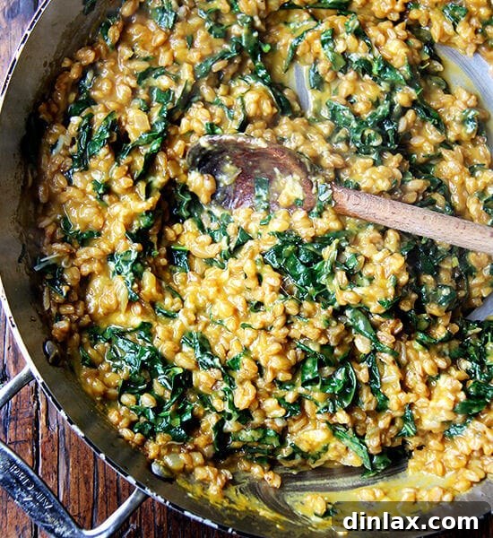 A pan of farro risotto with roasted butternut squash and kale, garnished with fresh herbs, ready to be served, capturing its rustic charm.