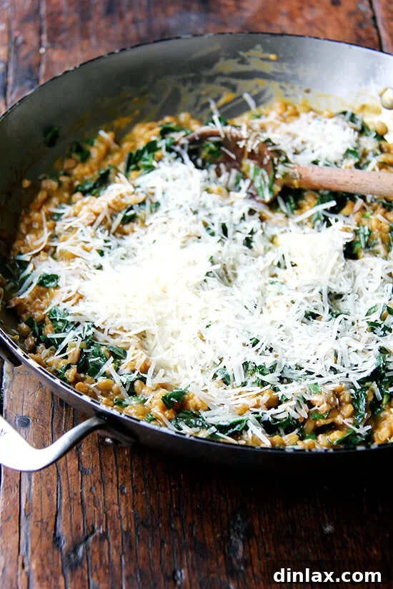Hearty Farro Risotto with Autumn Squash and Kale 9 A close-up shot of freshly grated Parmigiano Reggiano being stirred into the creamy farro risotto in a pan, melting in to enrich the dish with savory notes.