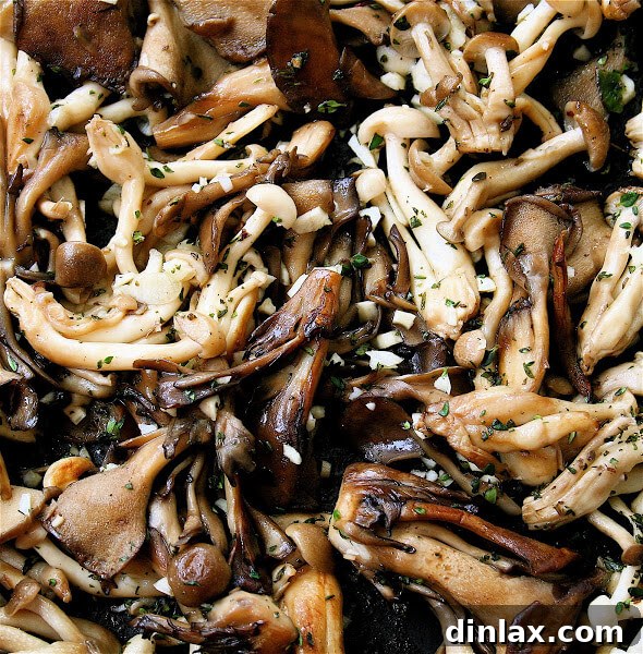 Where Earth Meets Ruby: Melograno & Mushroom Memories 3 Fresh wild mushrooms gathered at a farmers' market