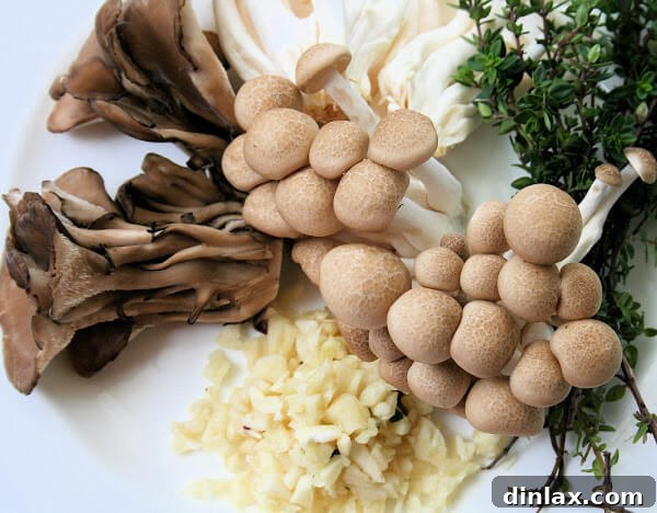 Where Earth Meets Ruby: Melograno & Mushroom Memories 5 Freshly cooked pappardelle pasta with mushrooms