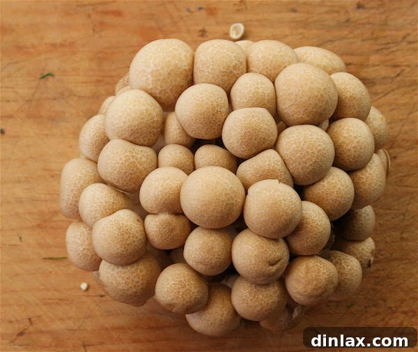 Where Earth Meets Ruby: Melograno & Mushroom Memories 7 Plated pasta dish with grated Parmigiano Reggiano