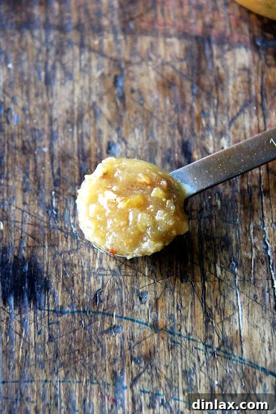 A spoonful of vibrant preserved lemon purée.