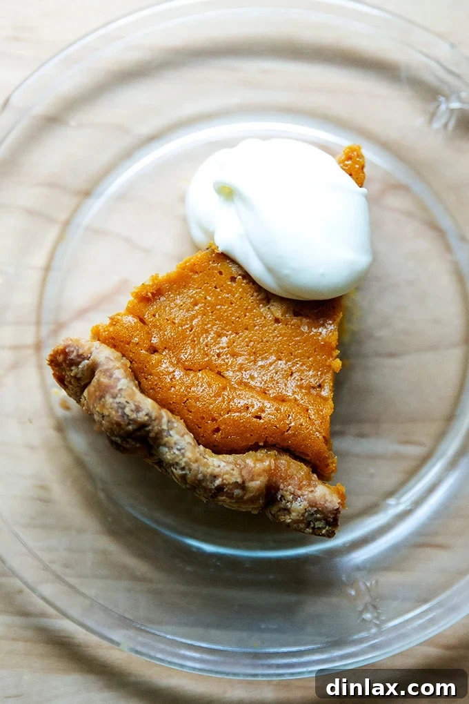 Golden Roasted Butternut Bliss Pie 2 A perfectly baked slice of golden butternut squash pie, showcasing its smooth, custardy filling and flaky crust.