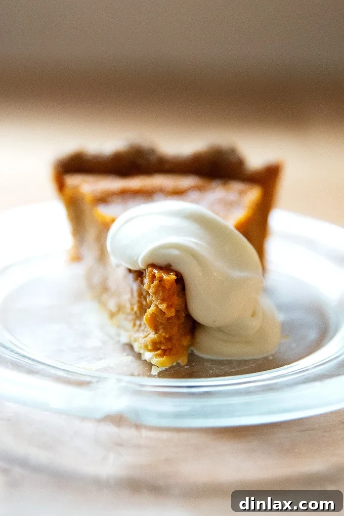 Golden Roasted Butternut Bliss Pie 3 A close-up of a perfectly baked butternut squash pie slice, revealing its rich, golden filling and inviting texture.