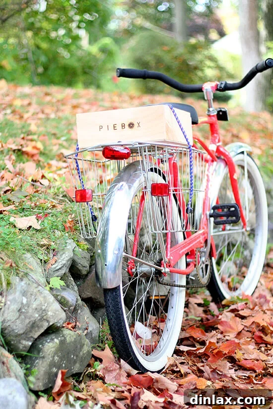 A beautifully baked pie nestled within the practical and stylish PieBox from Provisions by Food52, ensuring safe transport.