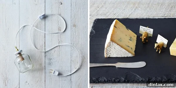 Apple-a-Day Lamp and Animal Magnets & Card Holders, whimsical home decor gifts from Provisions by Food52.