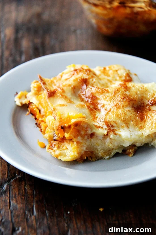 A beautifully plated slice of golden butternut squash lasagna, rich with creamy layers.
