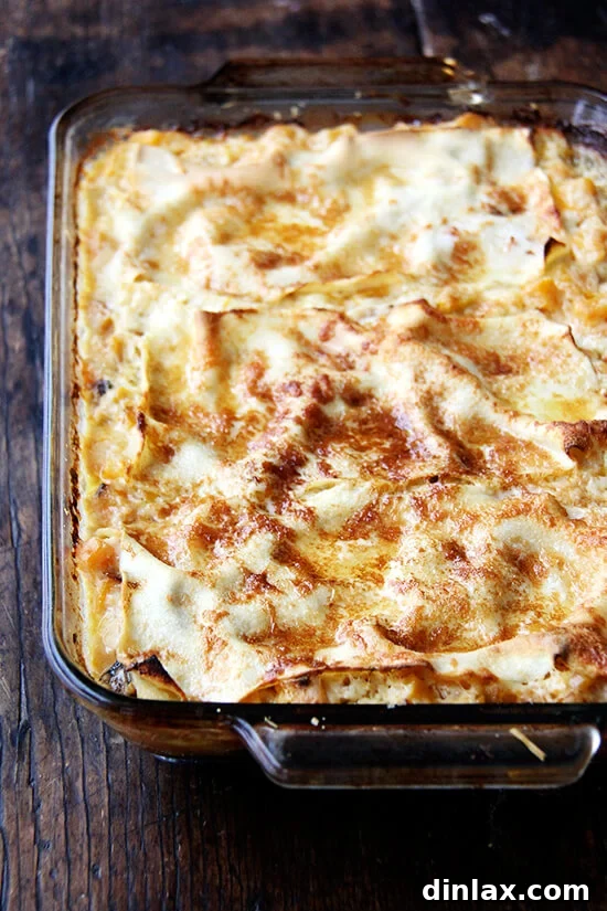 A beautifully baked butternut squash lasagna, golden and bubbly, fresh from the oven.
