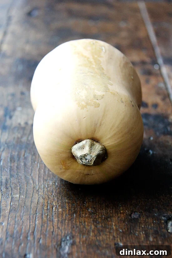 A whole butternut squash rests on a rustic wooden table, ready for preparation.