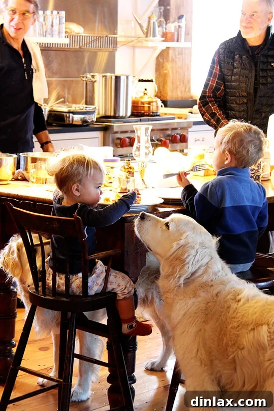 A cozy breakfast scene in Vermont featuring golden retrievers resting nearby, and delicious waffles on the table.