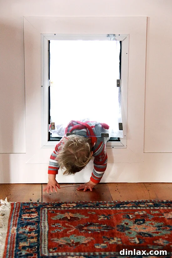 A child enthusiastically climbs through a dog door, exploring new pathways.