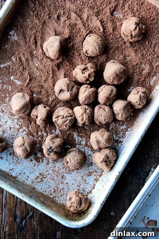 Decadent Grand Marnier Chocolate Truffles 10 A baking sheet with a pile of unsweetened cocoa powder, and several chocolate truffles being rolled and coated in the cocoa.
