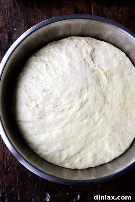 Beautifully risen Challah bread dough, doubled in bulk and ready for shaping.