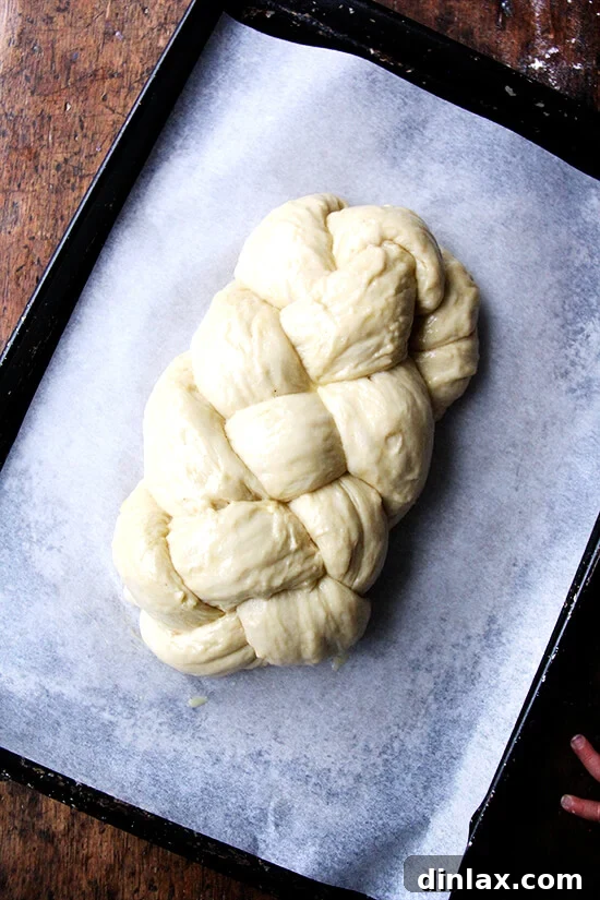 A classic braided Challah bread loaf, perfectly shaped and ready for its final rise before baking.