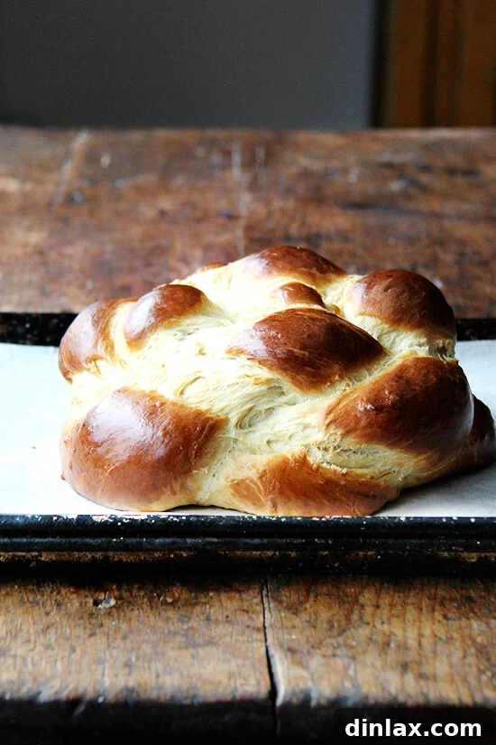A freshly baked Challah bread loaf, golden brown and glistening, cooling on a sheet pan.