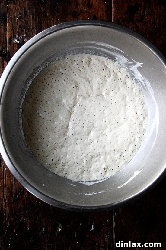 A bubbly and active Challah bread dough sponge in a mixing bowl, ready for the next step.