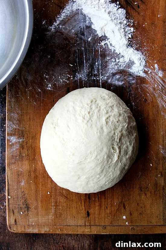 Perfectly kneaded Challah bread dough, smooth and ready for its first rise.