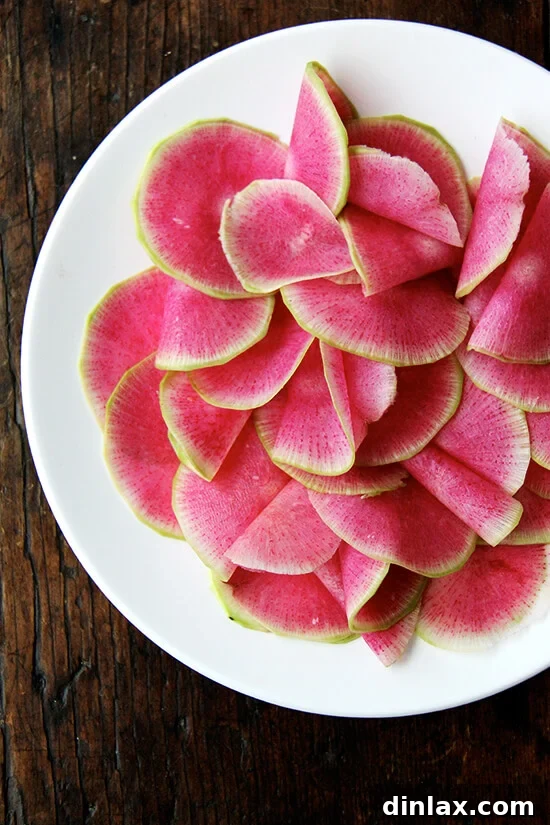 Vibrant Watermelon Radish, Orange, and Goat Cheese Salad 5 Watermelon radish slices beautifully arranged on a white plate, seasoned lightly.